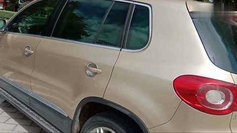 噬血芭蕾 视频缩略图