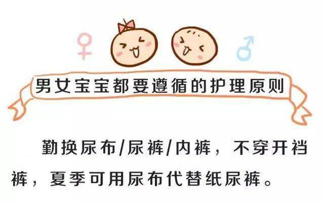 你的生命之轮 视频缩略图