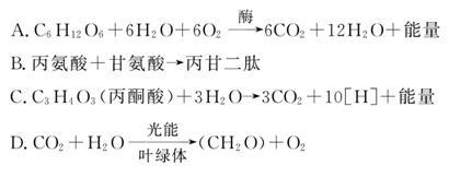 伤心小号曲 视频缩略图