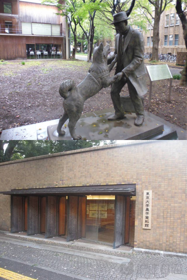 冰海陷落 视频缩略图