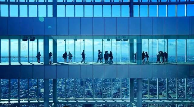 你好，树公主 视频缩略图