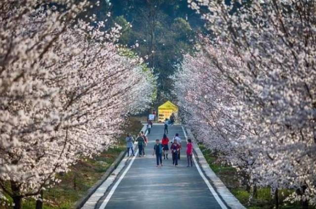 仙女潭 视频缩略图