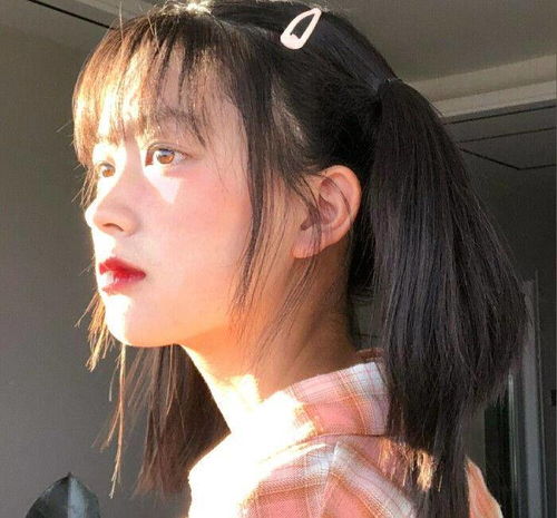 喜鹊岭茶歌 视频缩略图