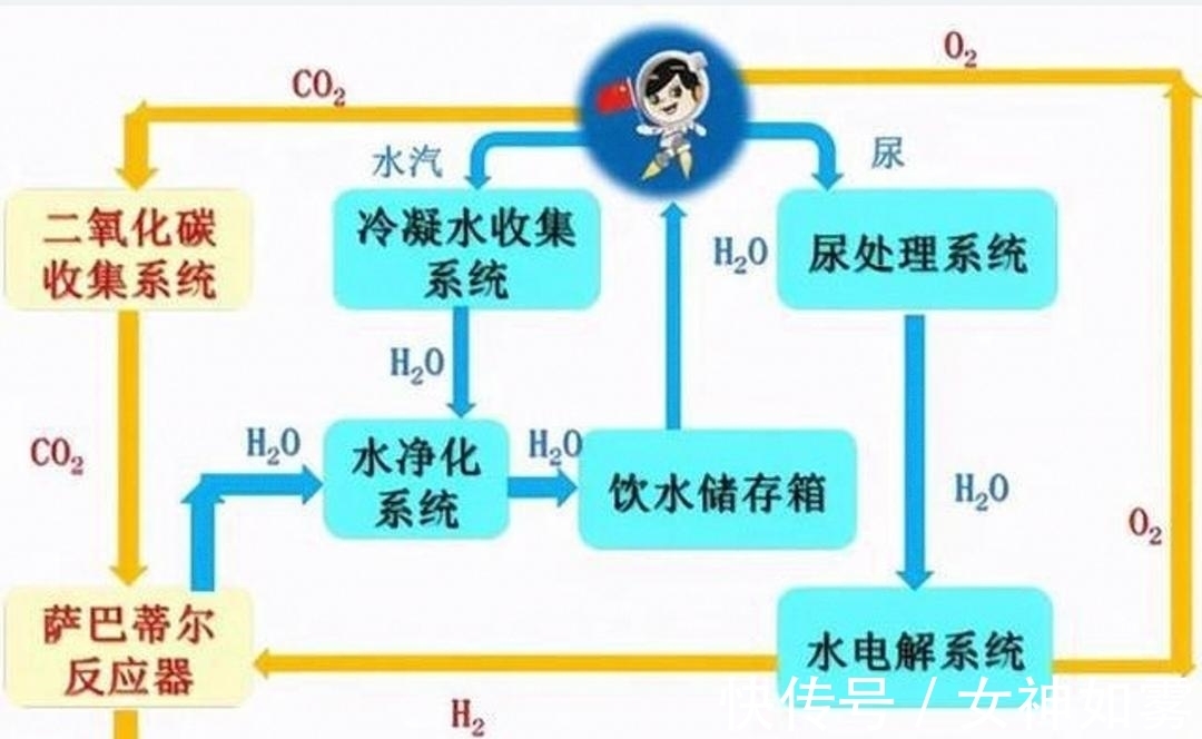 侠盗王子罗宾汉 视频缩略图
