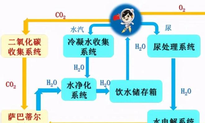 信天翁 视频海报