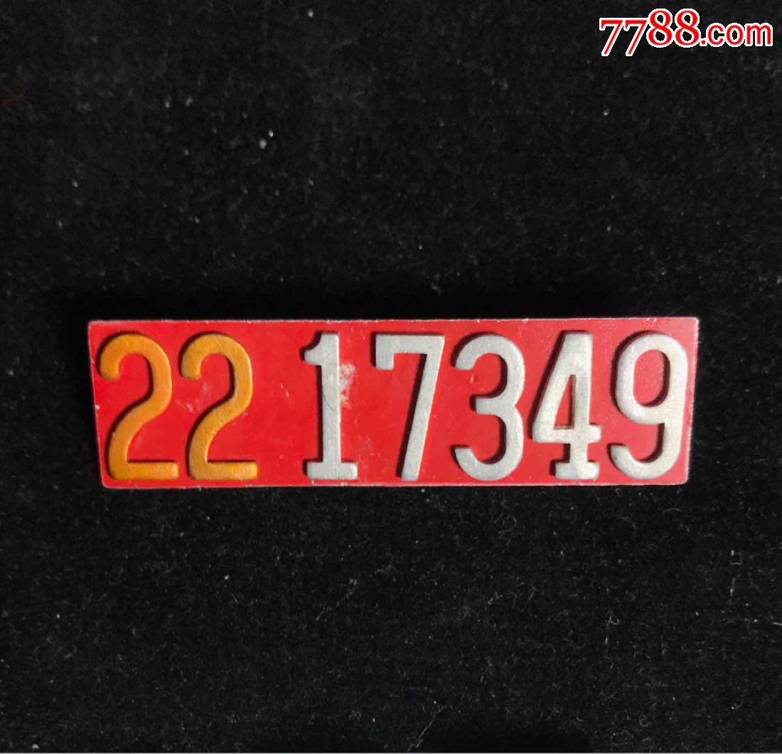 侵入者 视频缩略图