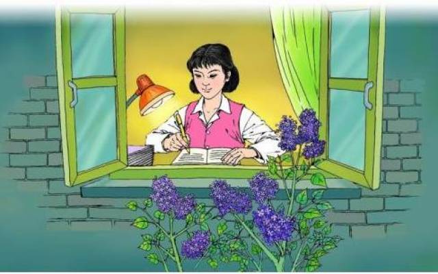 呆瓜兄弟 视频缩略图