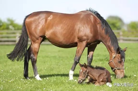 侠探杰克 视频缩略图