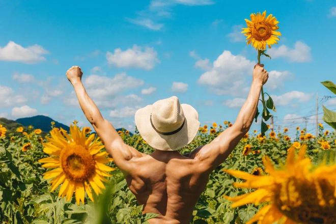 向日葵与幼犬的7天