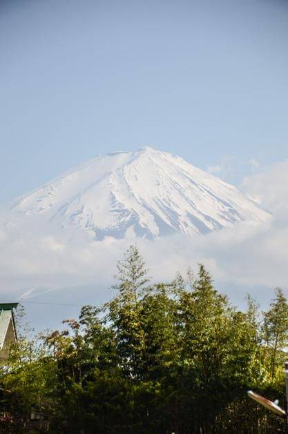 史酷比：重返僵尸岛 视频海报