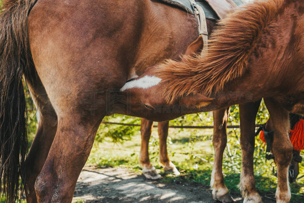 伴我同行 视频缩略图