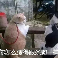 地久天长 视频缩略图