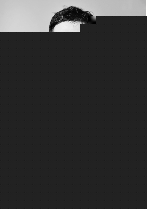 坦途 视频缩略图