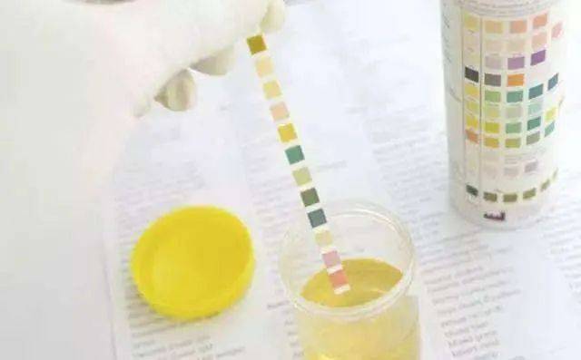 兄弟契约 视频封面