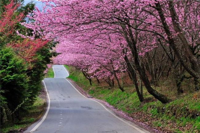 你不是我 视频缩略图