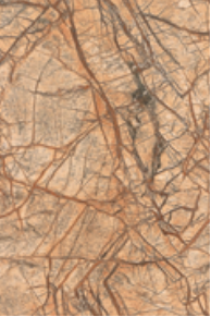 傀儡侦探 视频缩略图