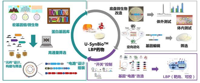 云朵上的羊角花 视频主图