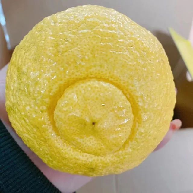 去见瀑布 视频缩略图