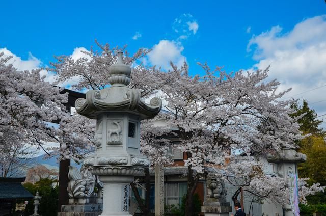 反诈风暴之猫鼠之战 视频缩略图