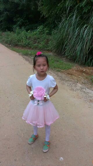 叶问2：宗师传奇 视频缩略图