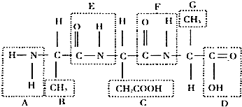 史酷比：重返僵尸岛 视频缩略图