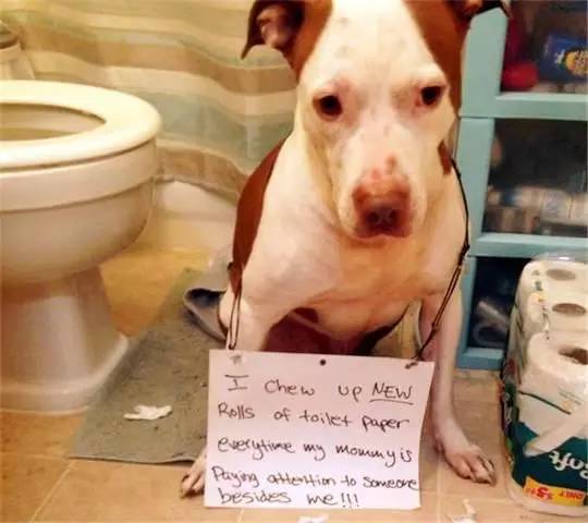 唤醒杀手 视频海报