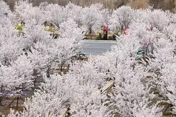 假面骑士联手出击驰骑与铠武电影大战全力出击 视频缩略图
