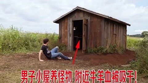 你情我愿 你情我願 视频海报