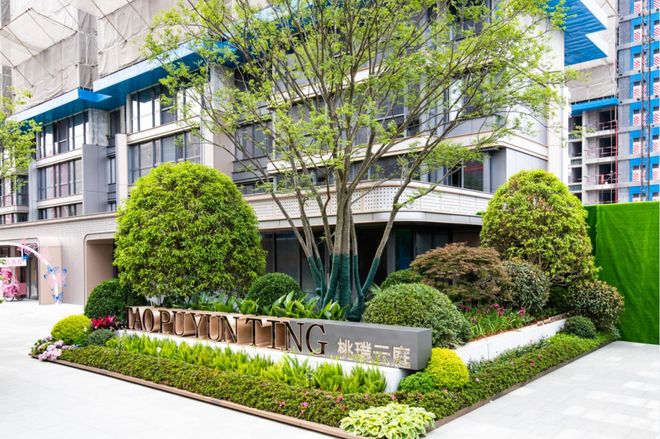 凶猫 兇貓 视频缩略图