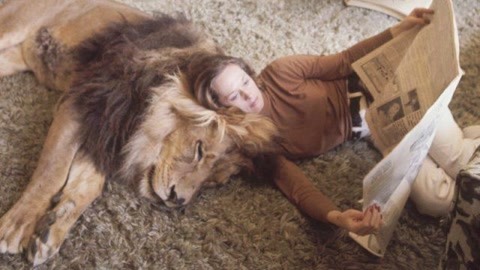 冰下的鱼 视频缩略图