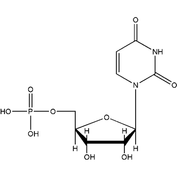 僵尸新人仔 视频海报