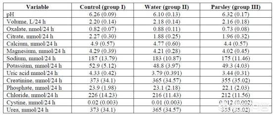 催婚 视频缩略图