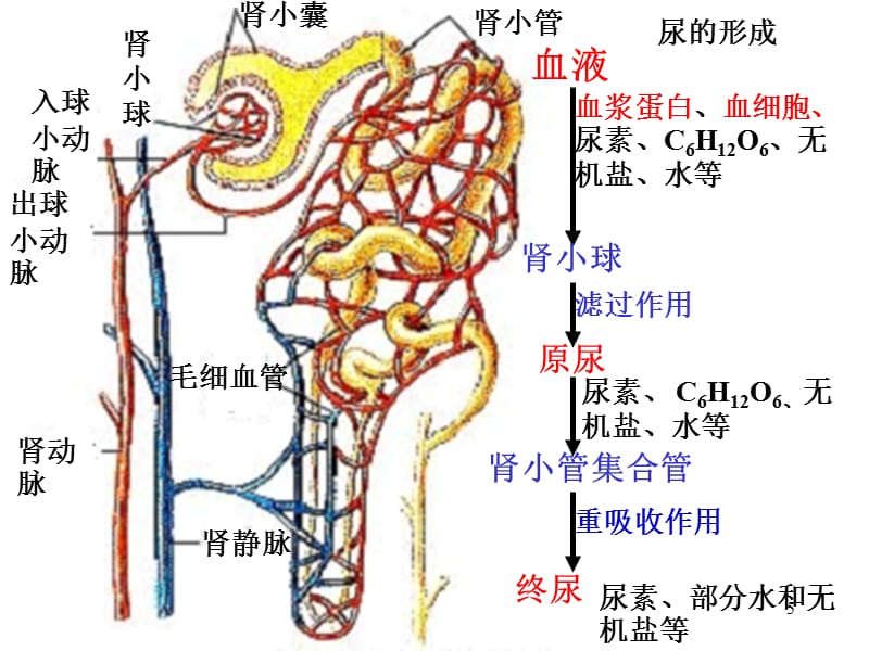 凤梧洞战斗 视频缩略图