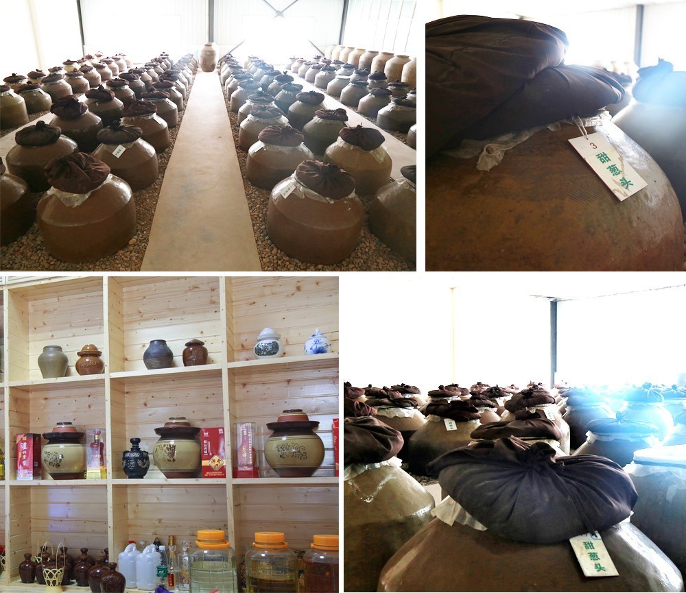 四根羽毛 视频缩略图