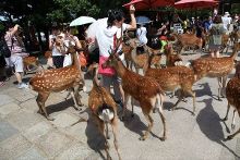 圣诞遇到爱 视频缩略图