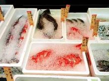 夕阳恋人 视频缩略图