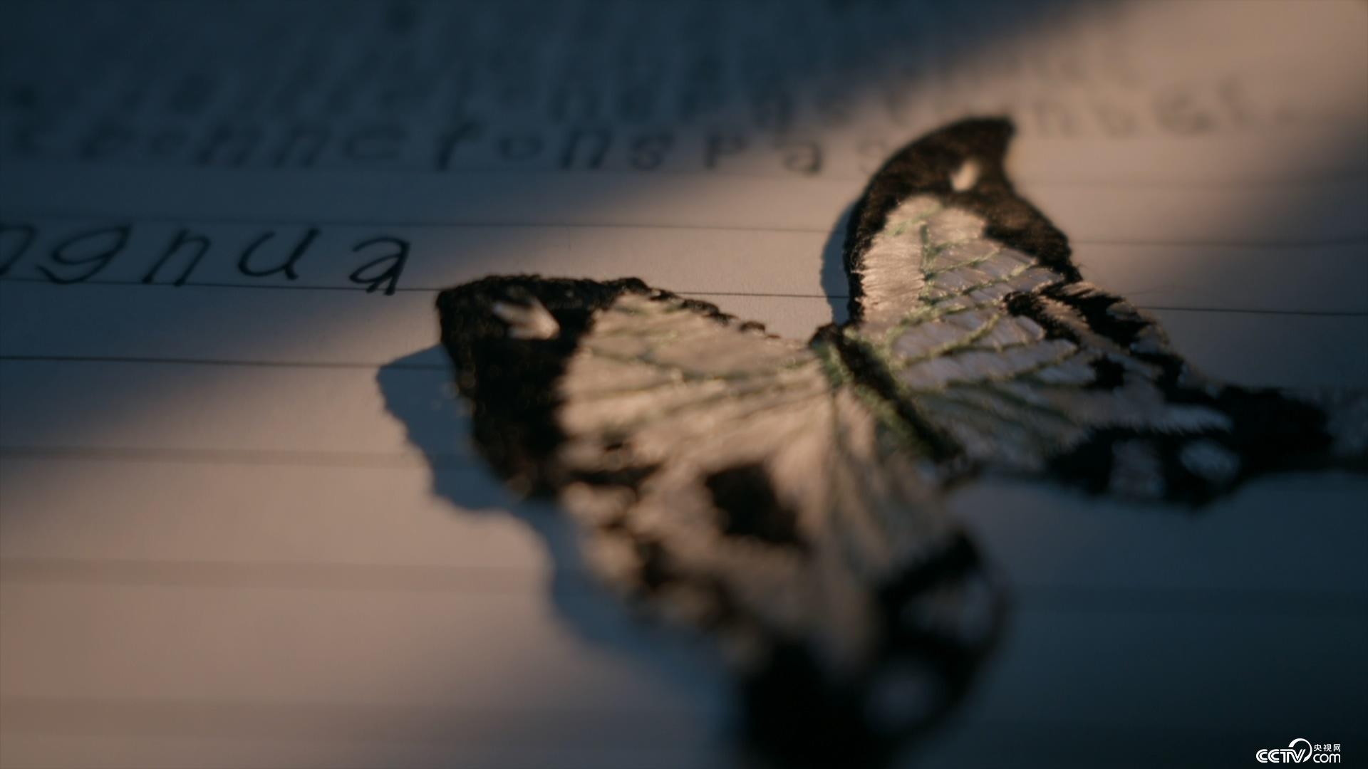 倾城之恋 视频缩略图