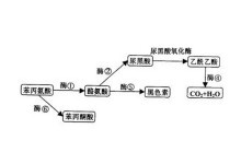 冒牌搭档 视频缩略图