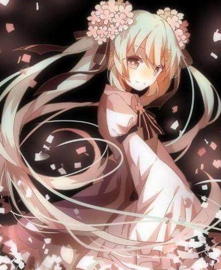 一个叫阿宝的男孩 视频主图