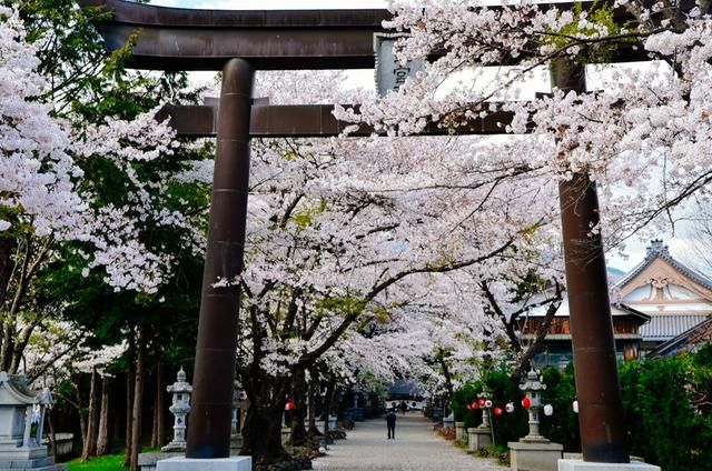 在宇田川町等我喔 视频海报