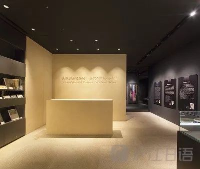 伊丽莎 施莱辛 不同的动物