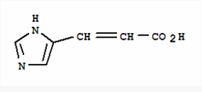 兄弟会 视频海报