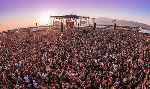 只有我没有猫 视频缩略图