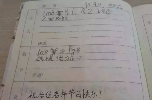 冽之花 视频海报