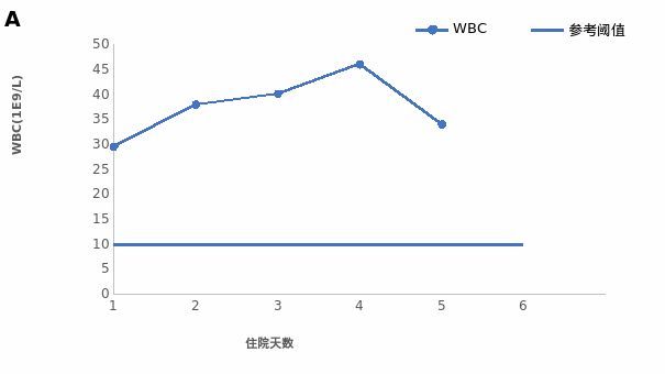 会长的贴身校花 视频缩略图