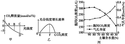 冰下的鱼 视频海报