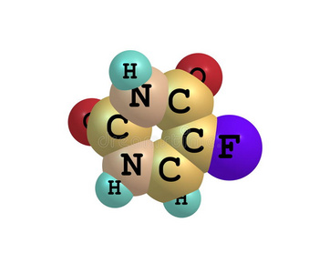 偷家派对 视频缩略图