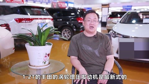 偷情别墅 视频缩略图