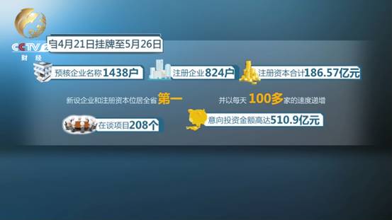 农场小牛牛：愚人节 视频缩略图