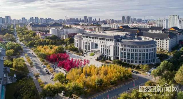 伊甸湖 视频缩略图